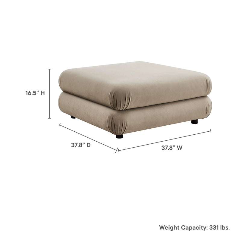 Variant Dimensions Image