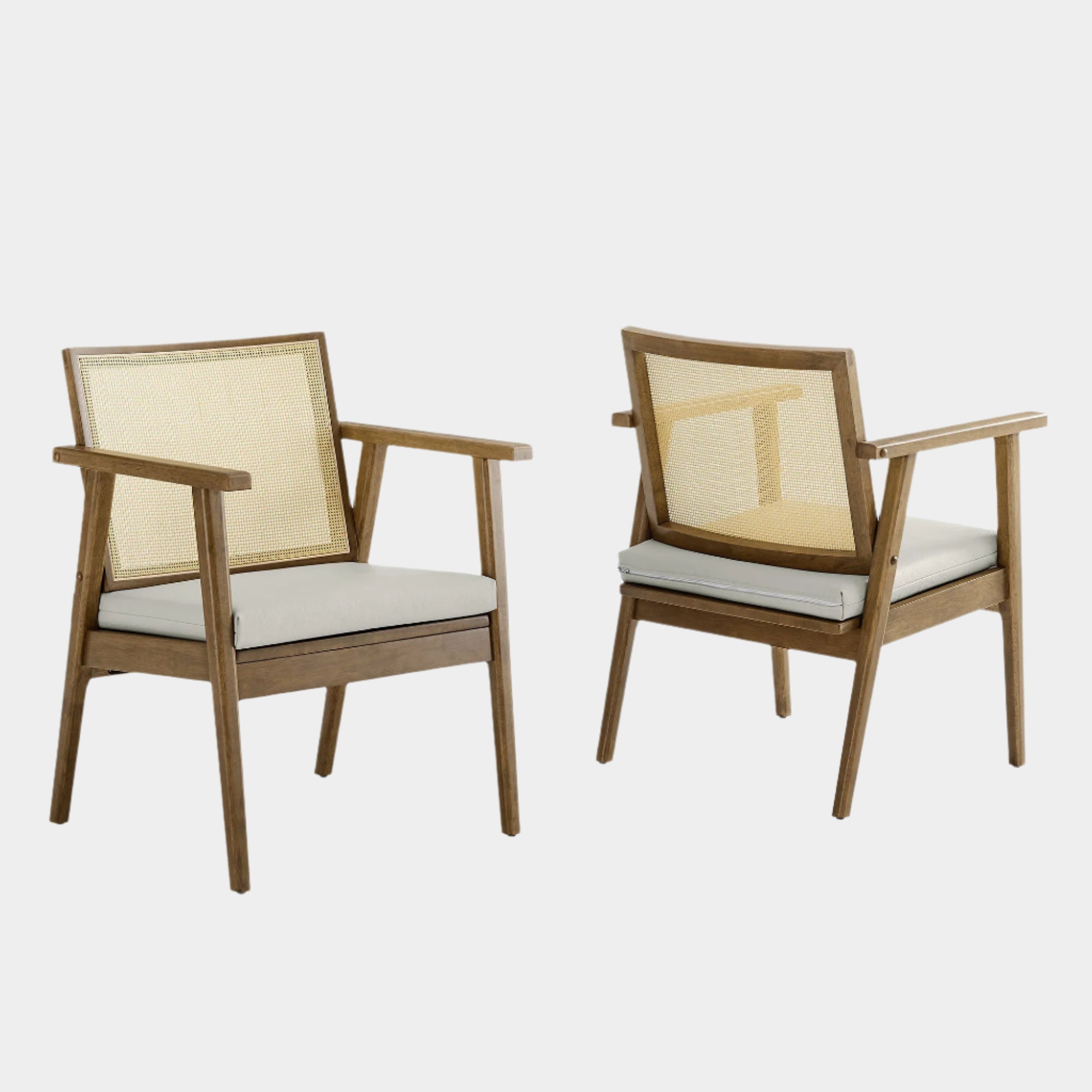 Thera Vegan Leather and Cane Accent Armchairs Set of 2