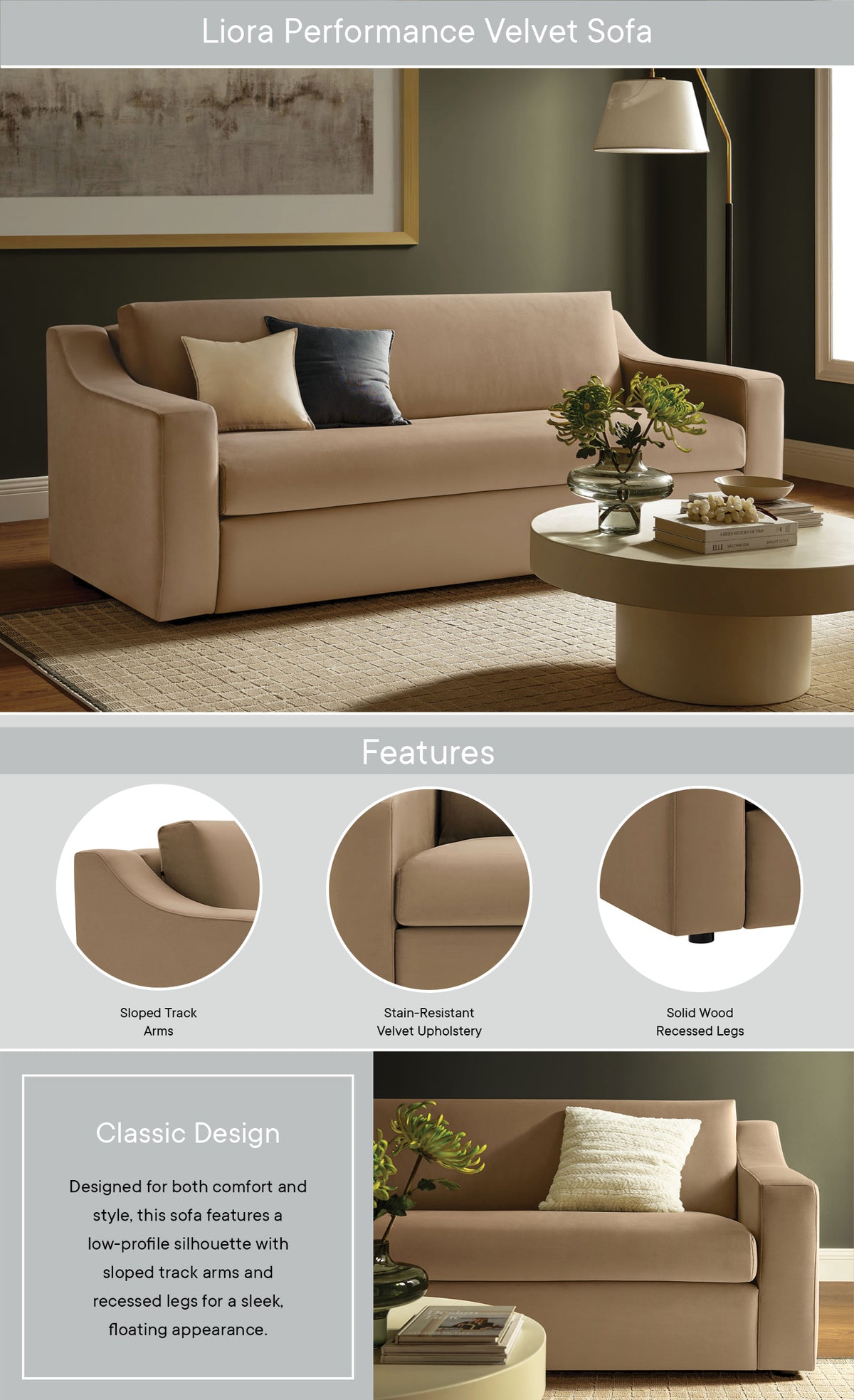 Product Highlights