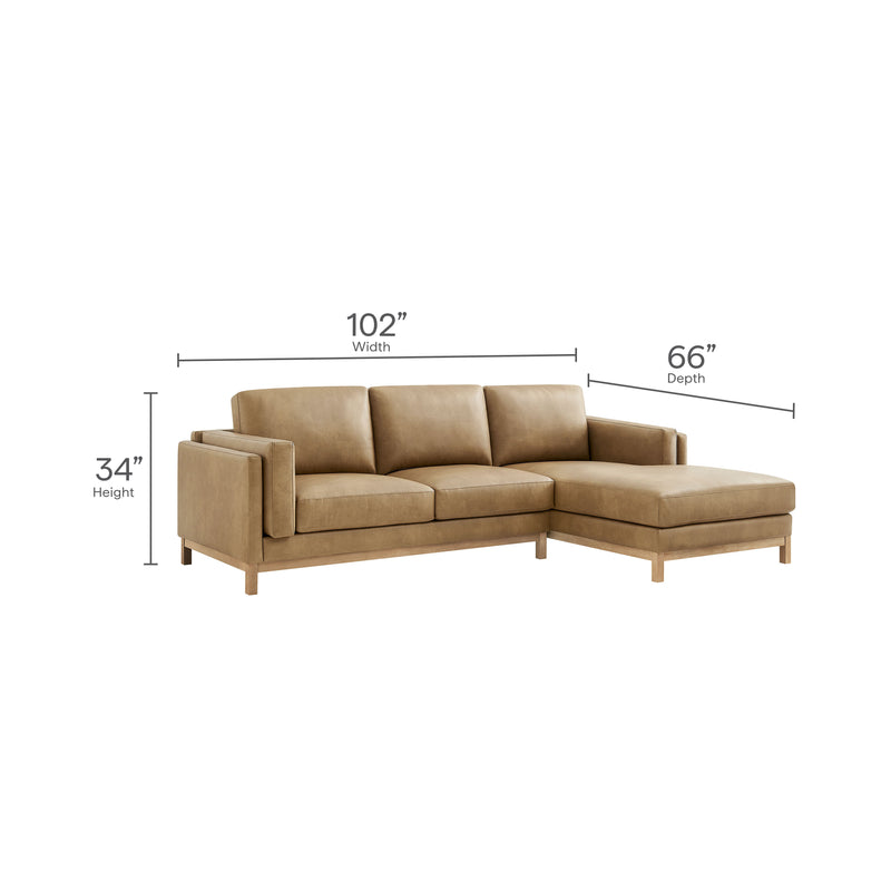 Variant Dimensions Image