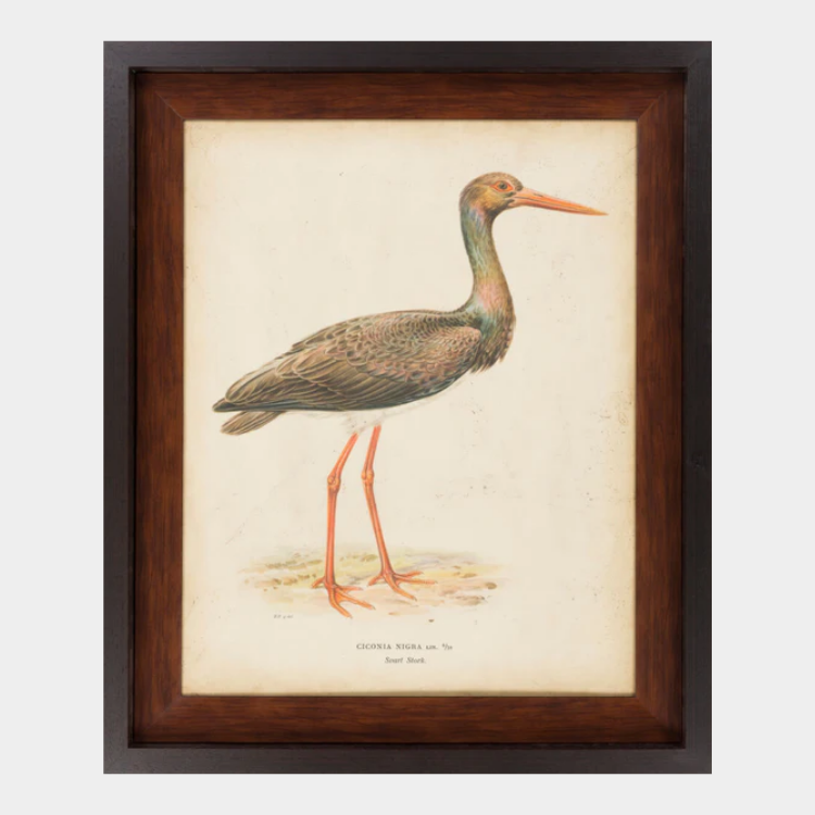 Surya Wall Decor Framed Art