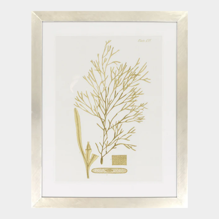 Surya Wall Decor Framed Art