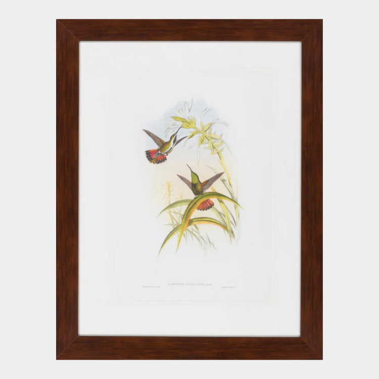 Surya Wall Decor Framed Art