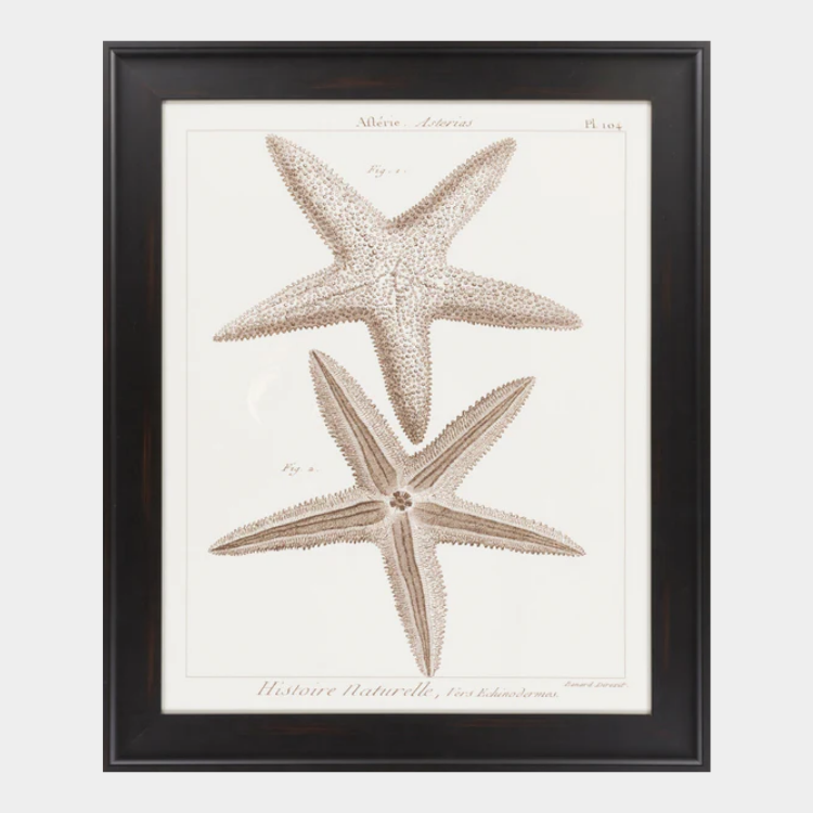 Surya Wall Decor Framed Art