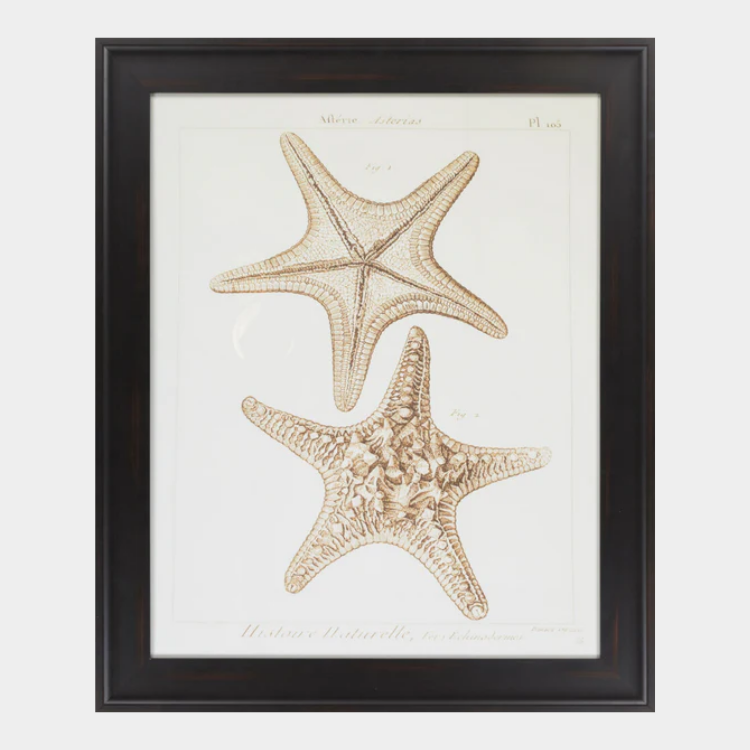 Surya Wall Decor Framed Art