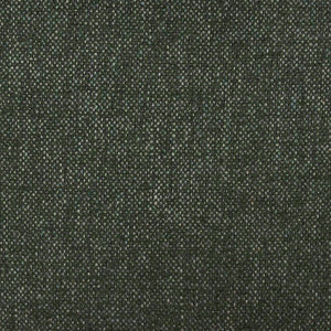 Swatch Image