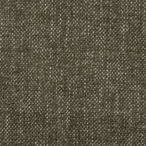 Swatch Image