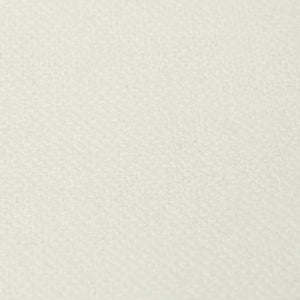 Swatch Image