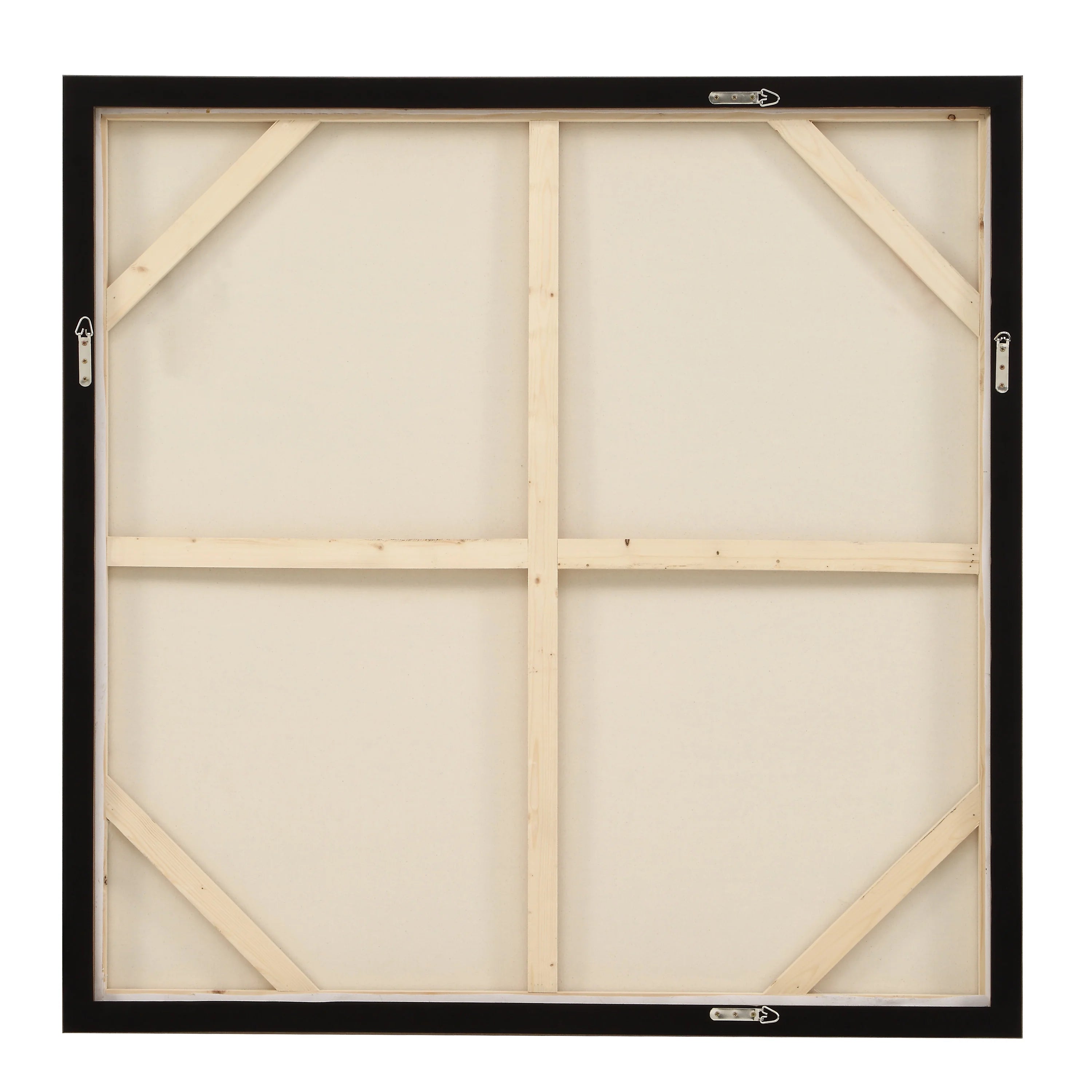 Corallo Canvas Art