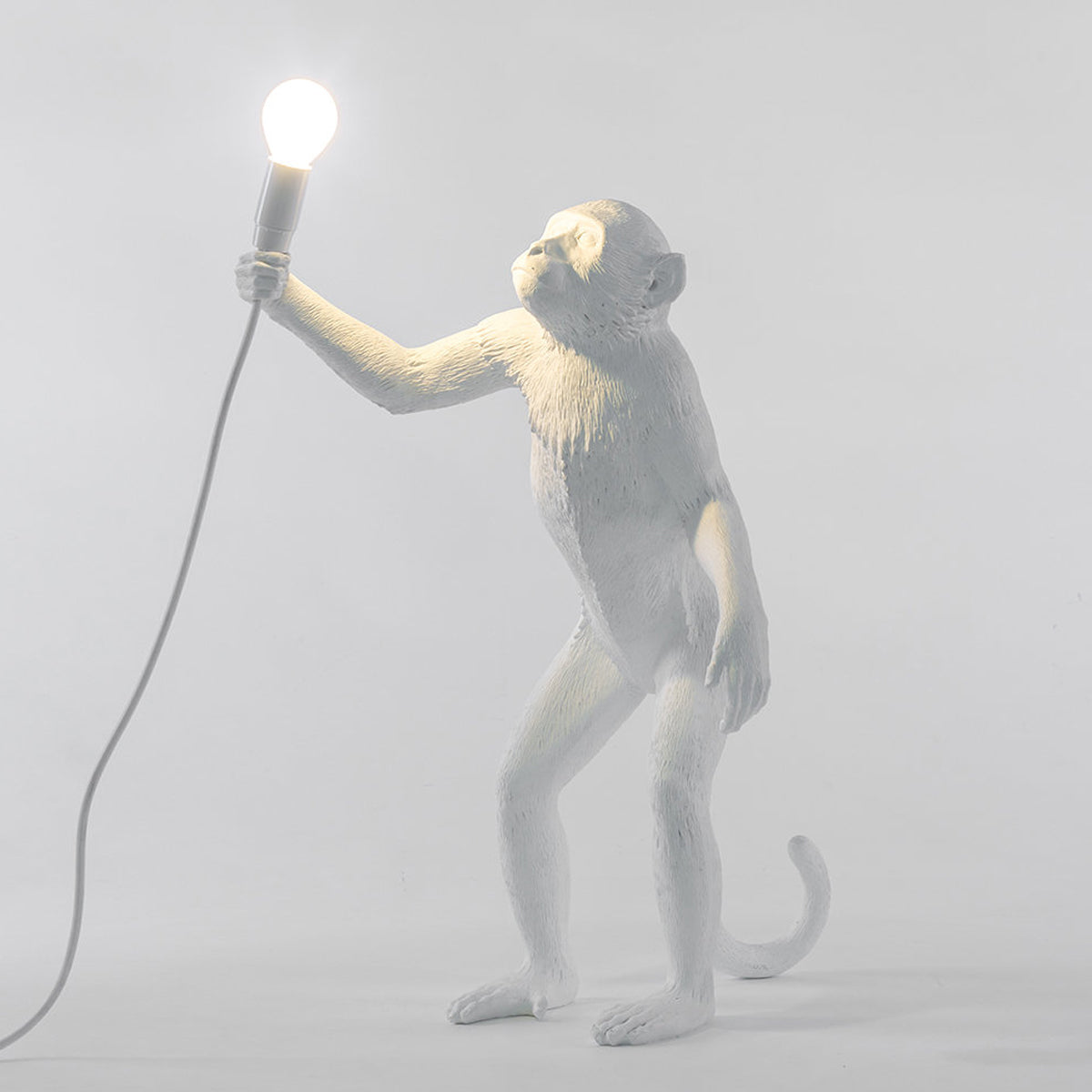 Standing Monkey Light