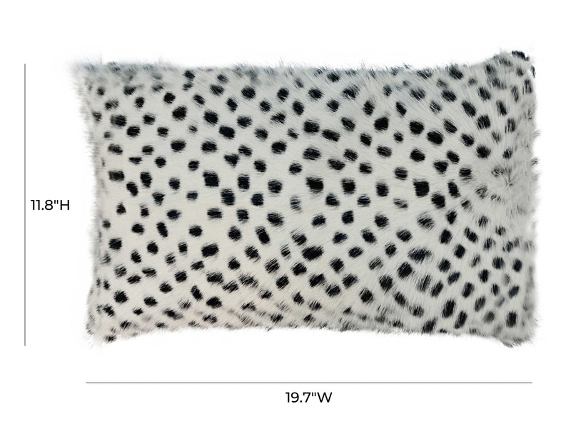Variant Dimensions Image