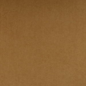 Swatch Image