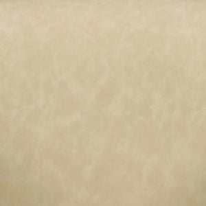 Swatch Image