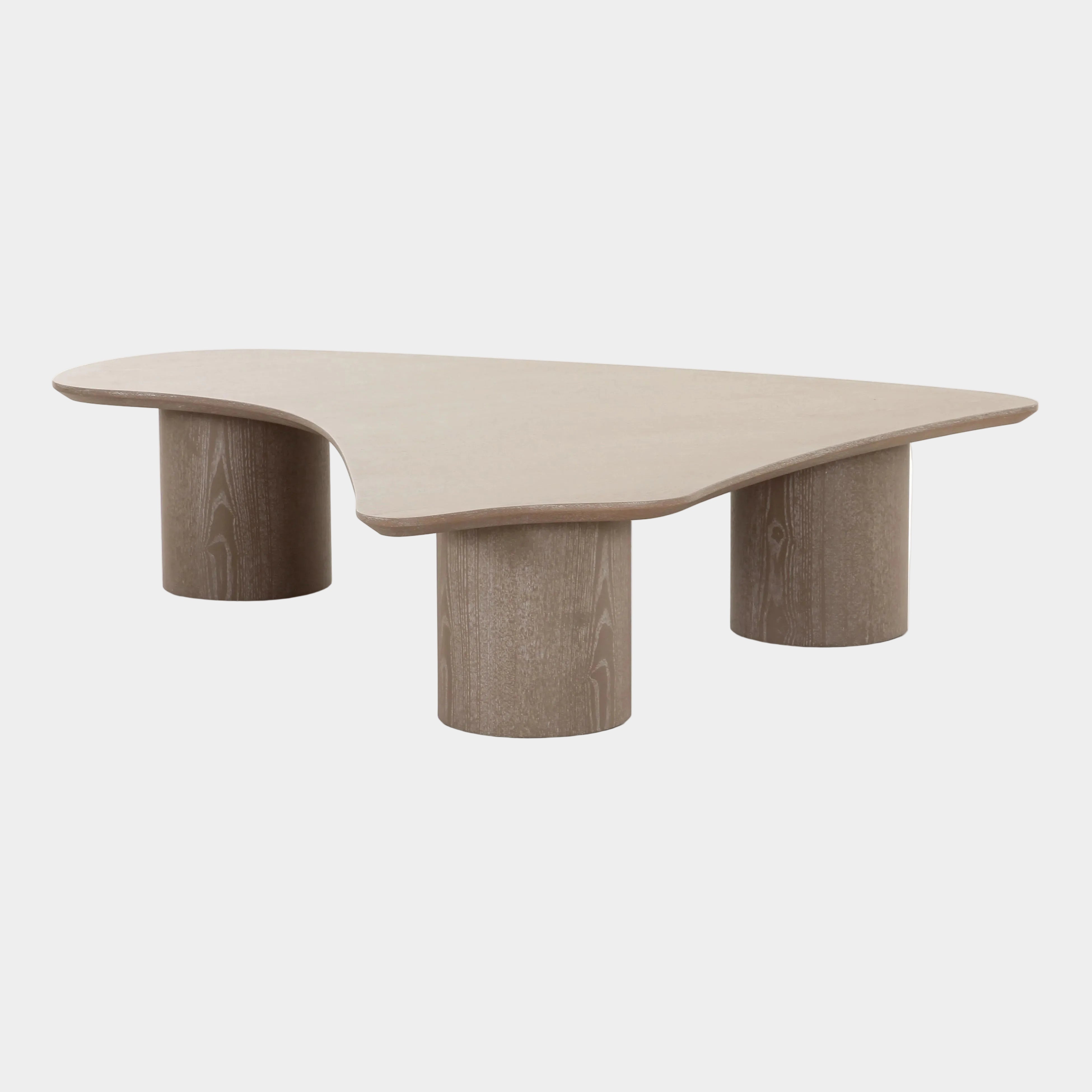 Rhema 55" Washed Ash Organic Low Coffee Table