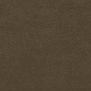 Swatch Image
