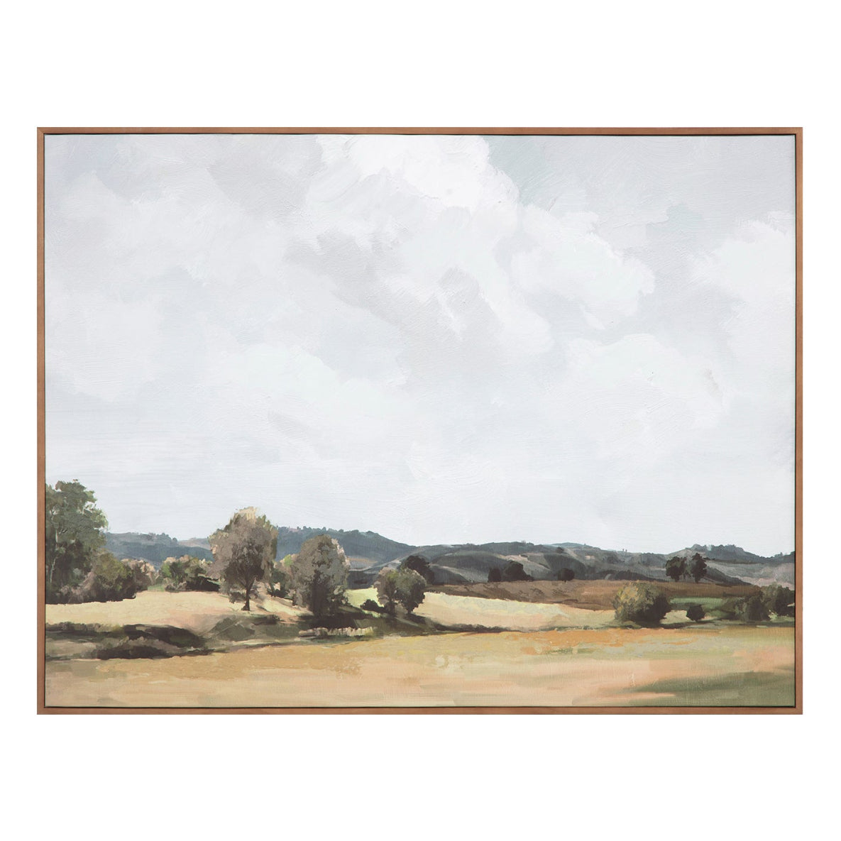 Vast Country Framed Painting
