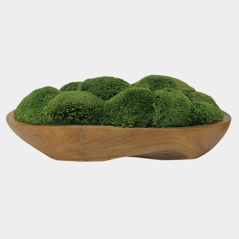 Kinsale Moss Centerpiece