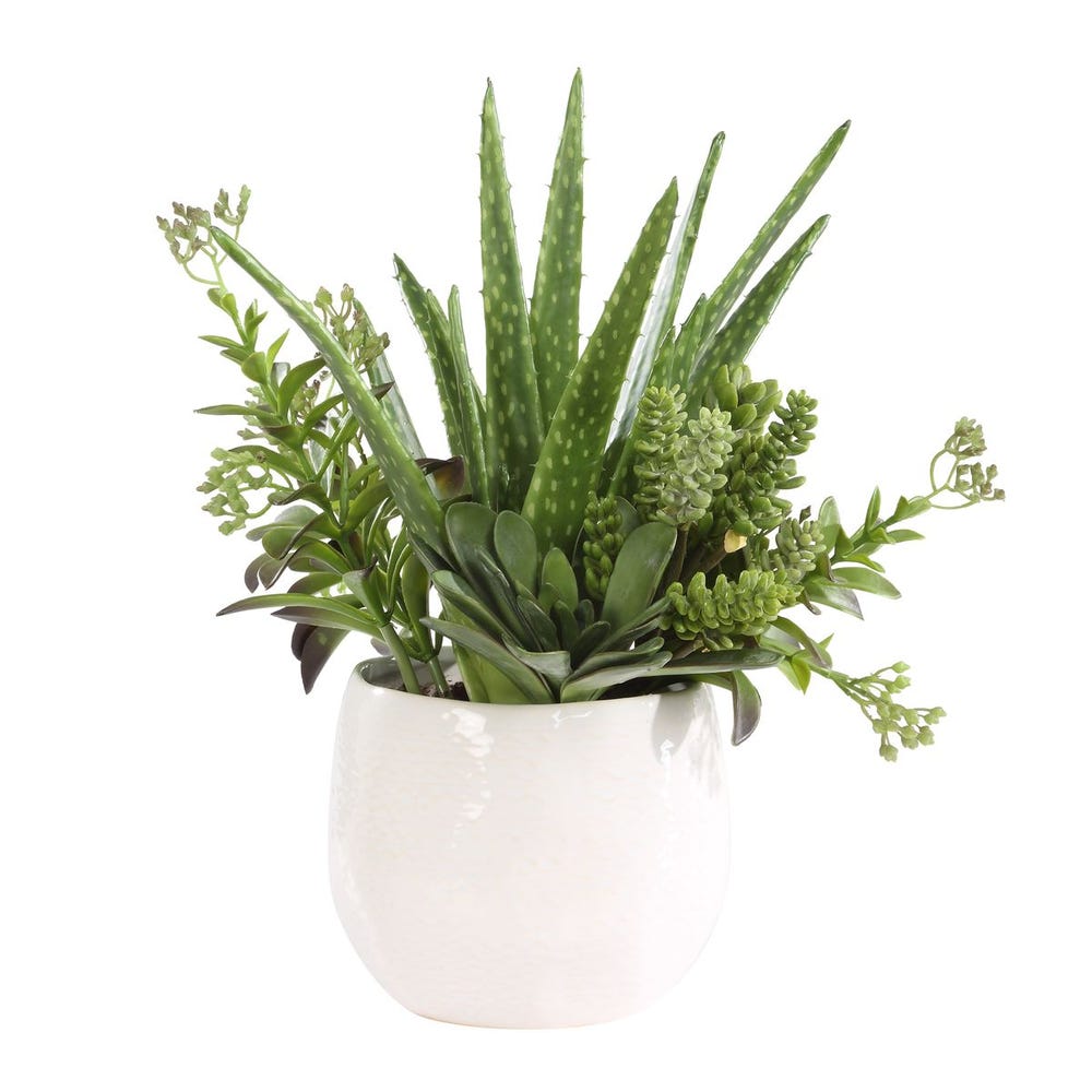 Sundown Succulent Accent
