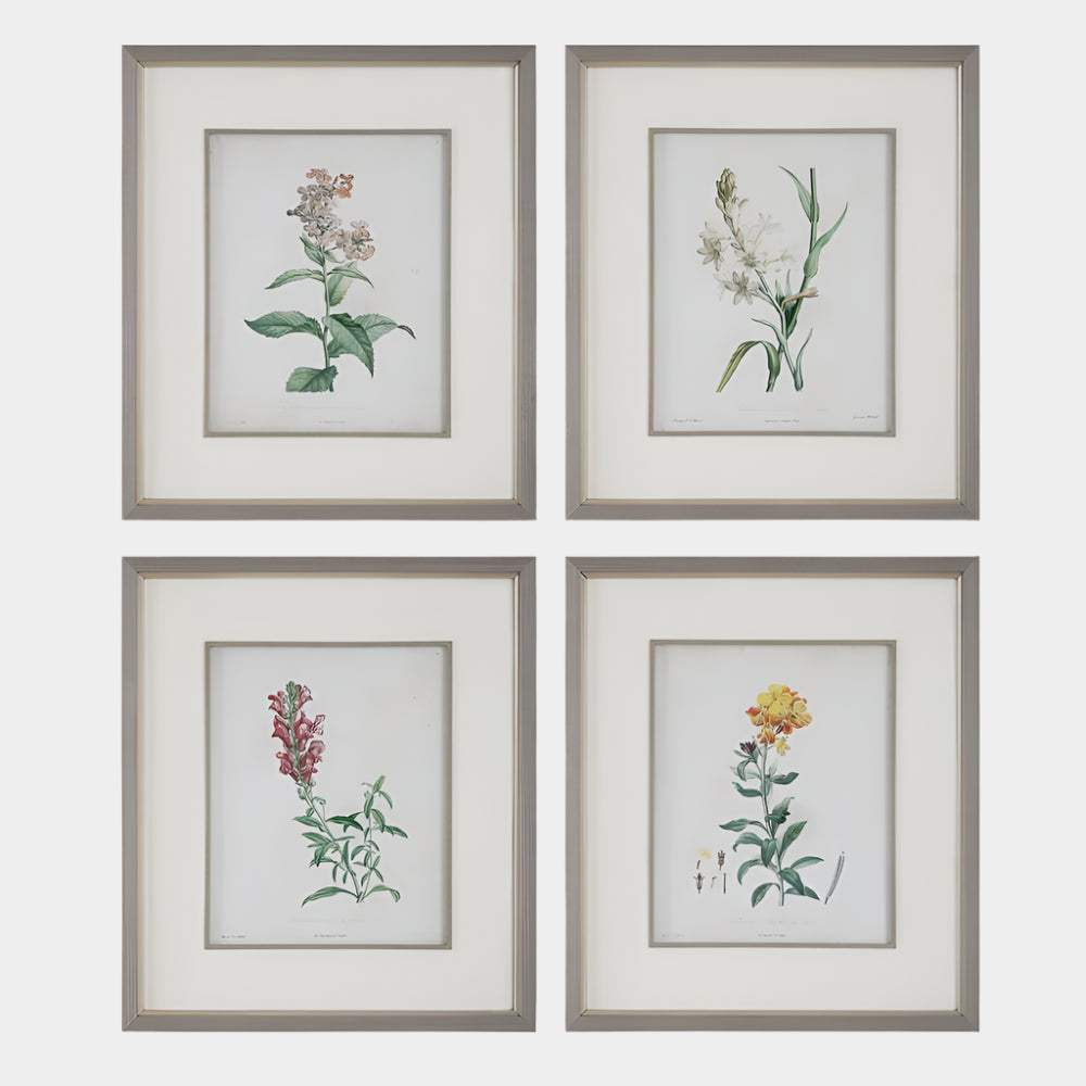 Heirloom Blooms Study Framed Prints, S/4