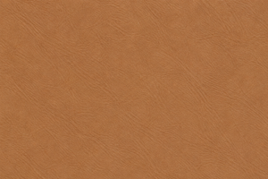 Swatch Image