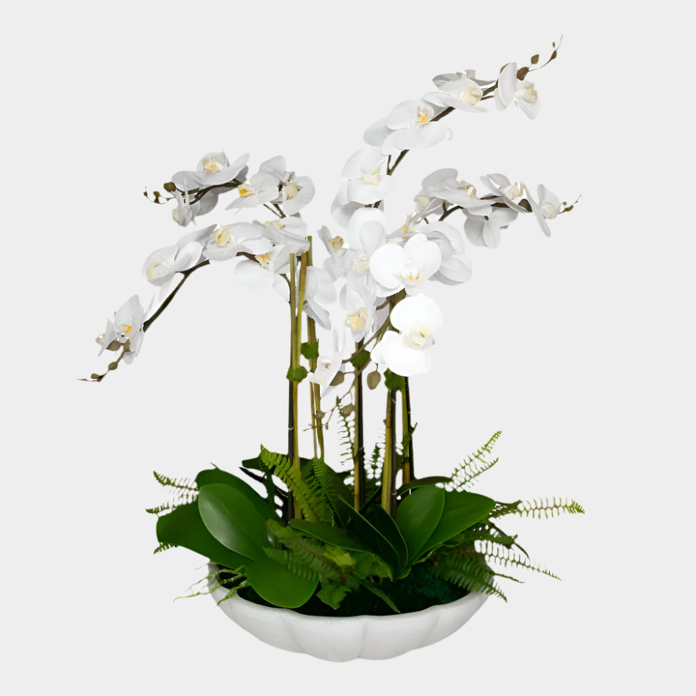 Flourish Orchid Centerpiece