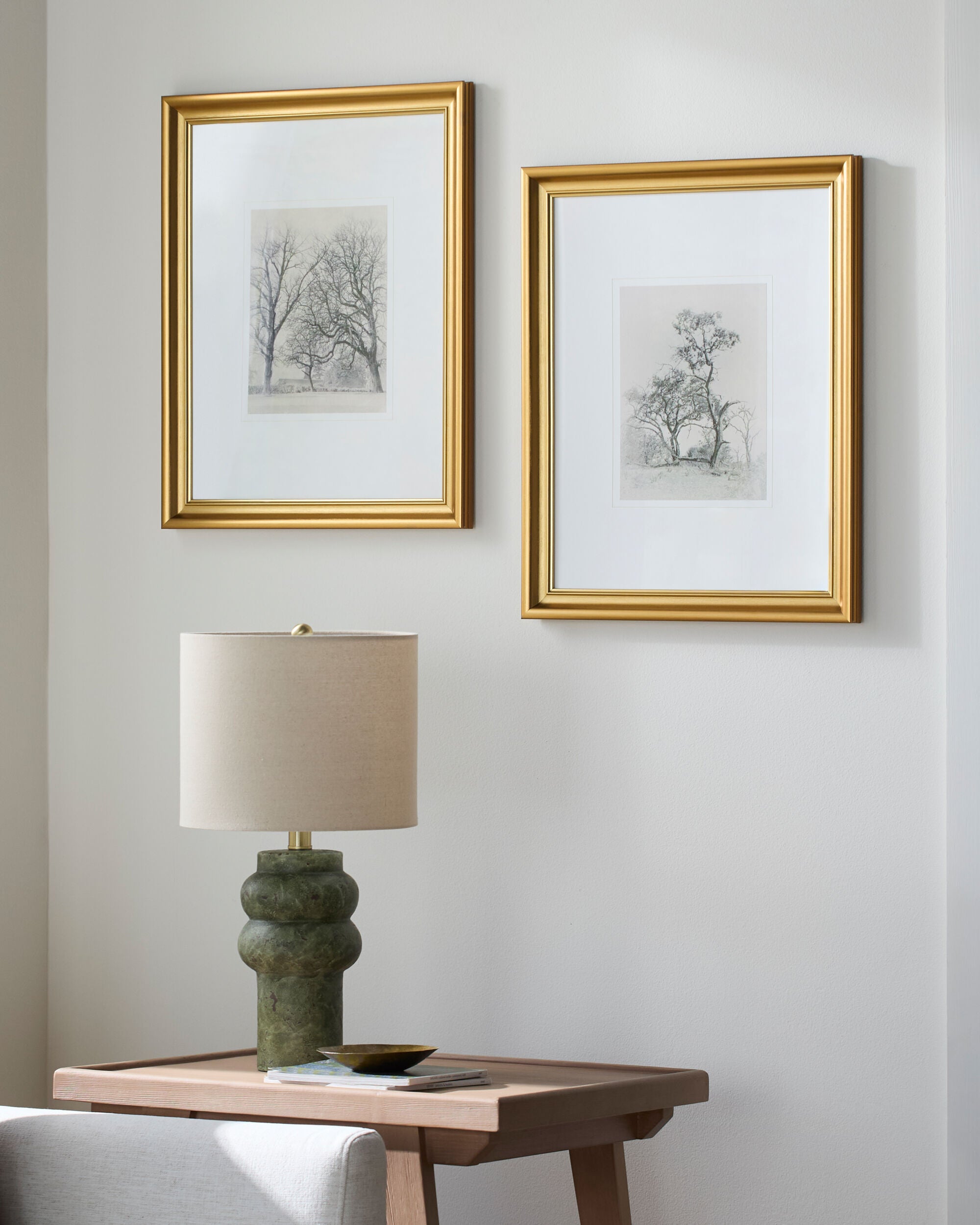 Coconino Framed Art