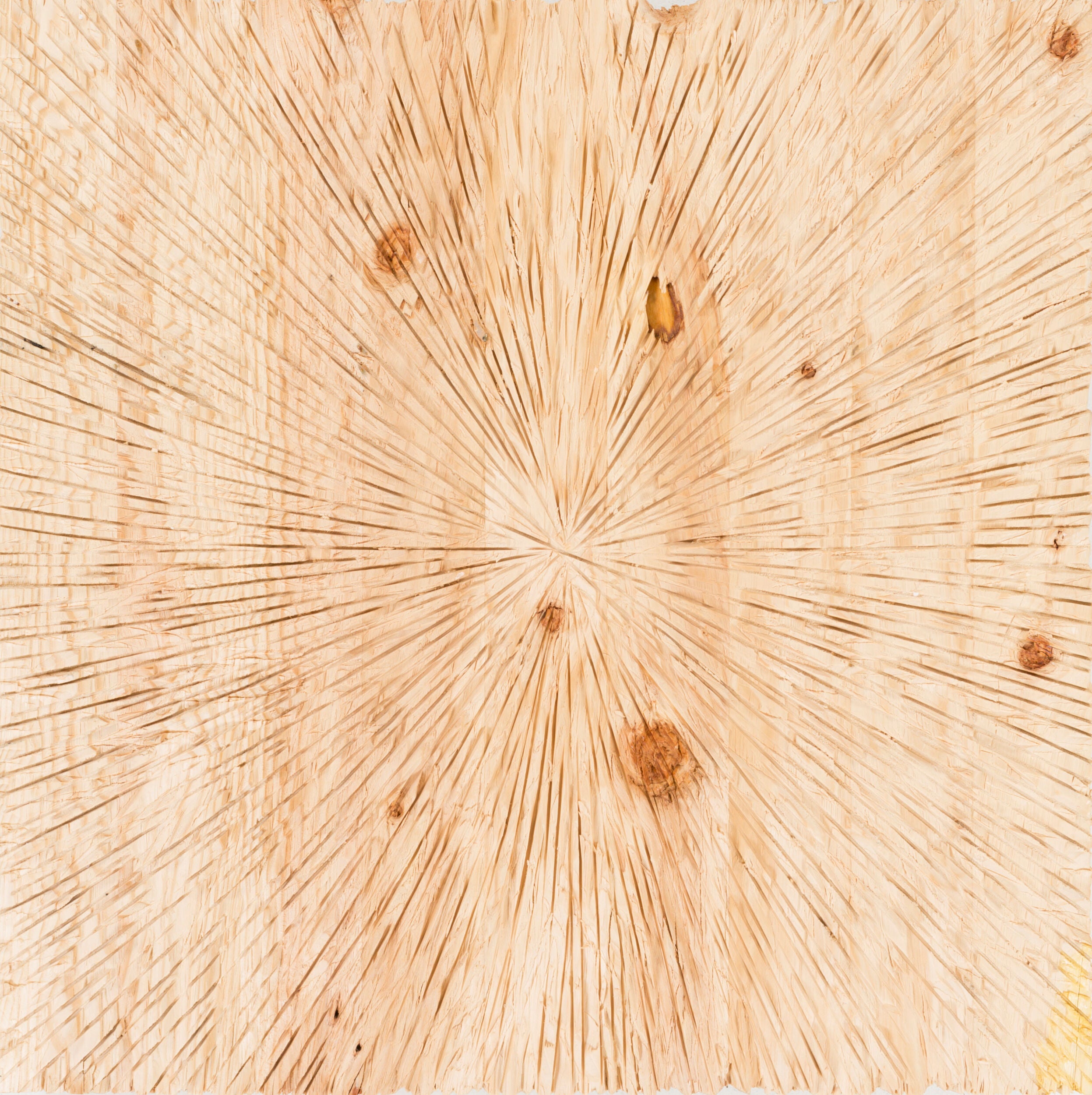 Surya Wall Decor Dimensional Wall Accent