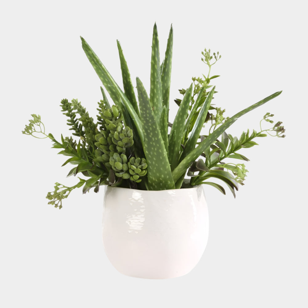 Sundown Succulent Accent