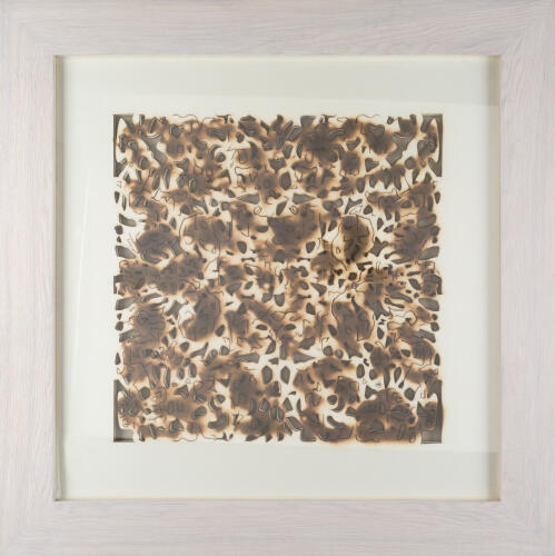 Daintree Framed Art