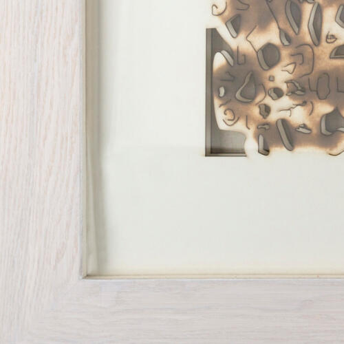 Daintree Framed Art
