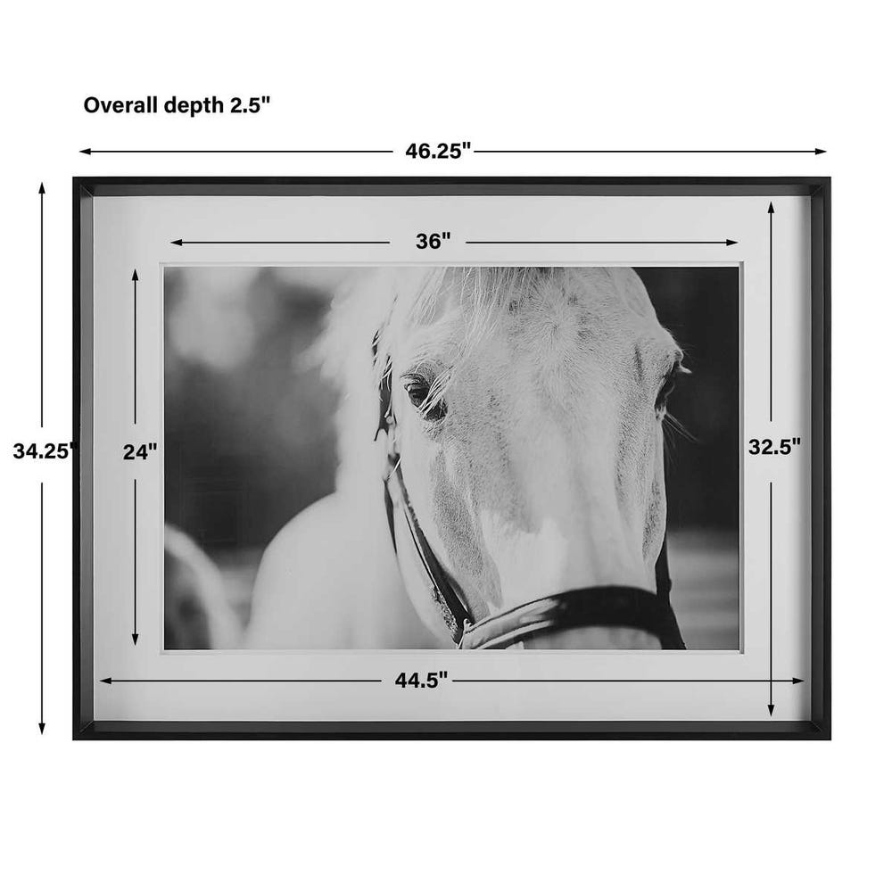 Eyes On The Prize Framed Print