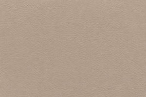 Swatch Image
