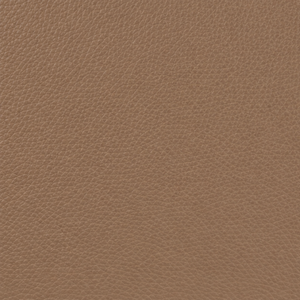 Swatch Image