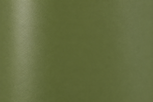Swatch Image