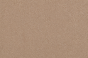 Swatch Image