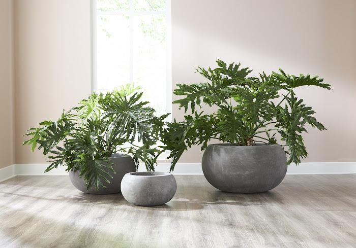 Rounded Planter, Large, Gray