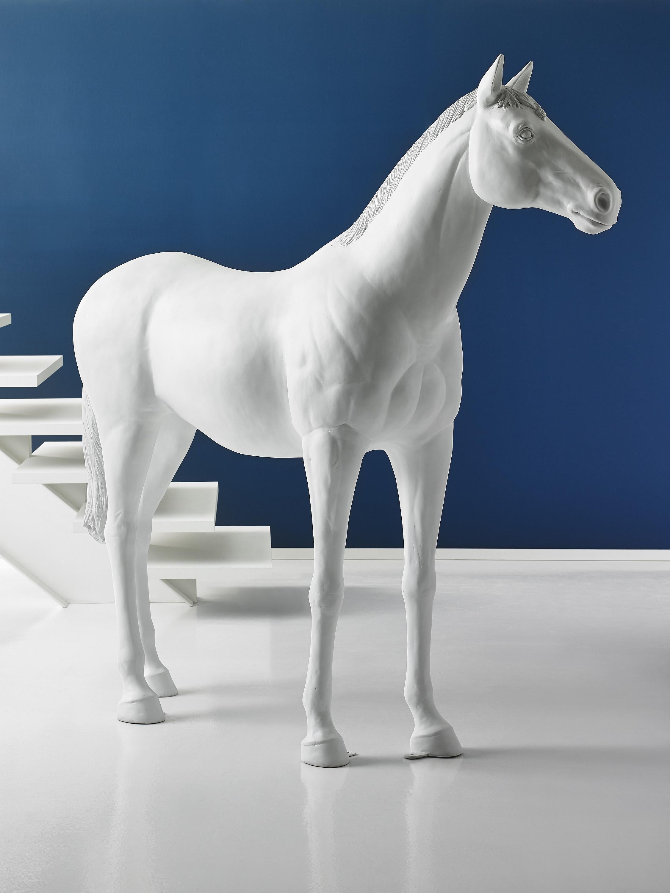 Cheval grandeur nature, blanc