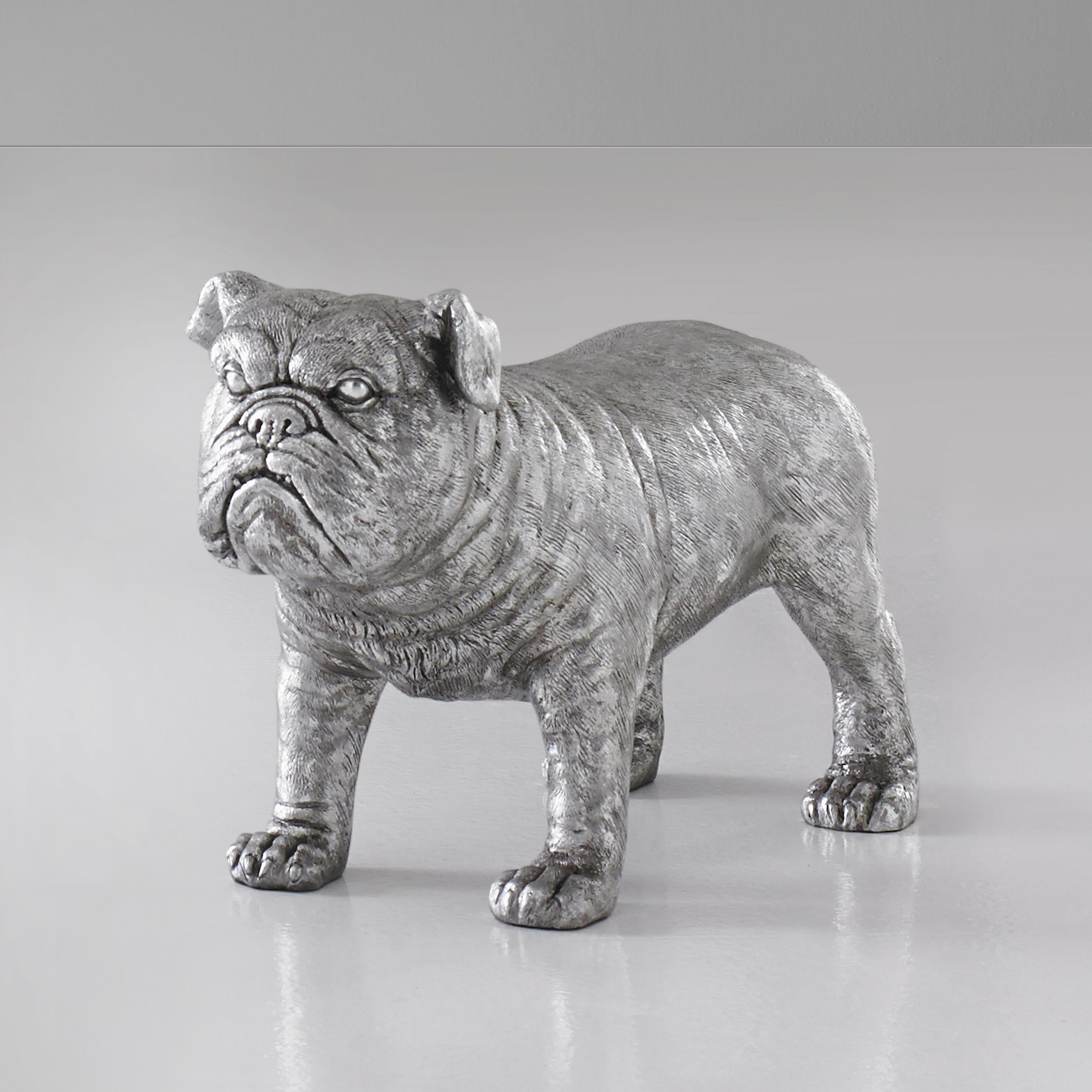 Bouledogue, feuille d'argent