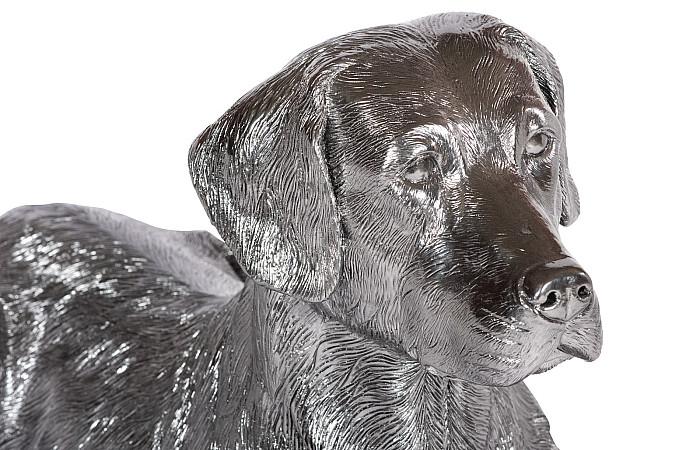 Labrador, Laying, Liquid Silver