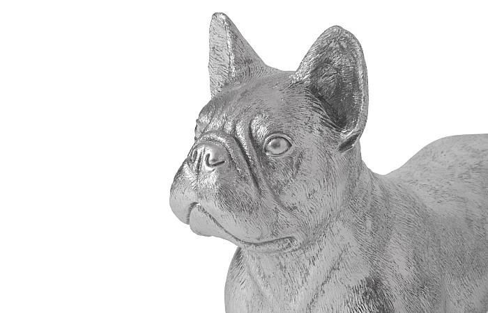 French Bulldog, Silver