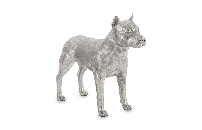 Pit Bull, Dog, Silver Leaf