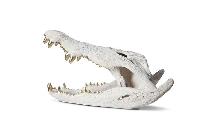 Crocodile Skull, Roman Stone, Gold Leaf