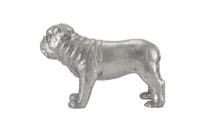 Bouledogue, feuille d'argent