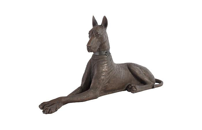 Dogue allemand, bronze, droitier