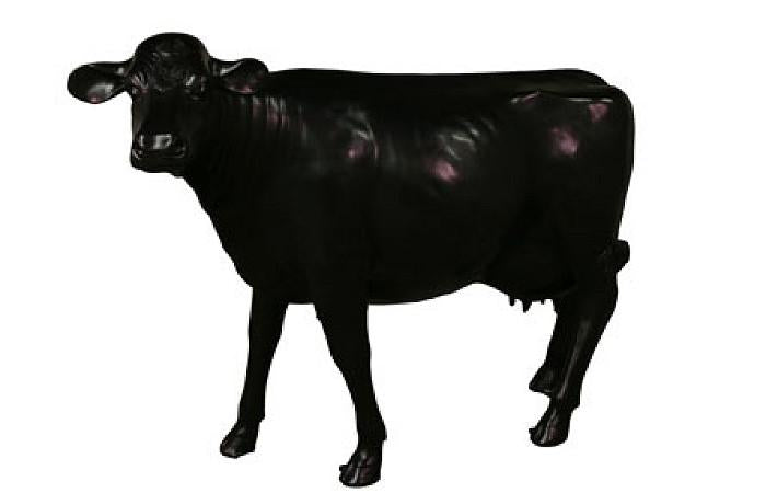 Life Size Cow, No Horns, Gel Coat Black