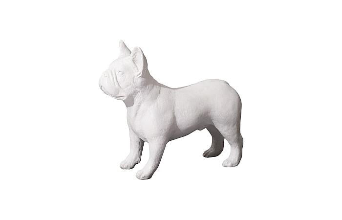 French Bulldog, Gel Coat White