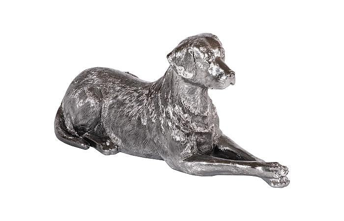 Labrador, Laying, Liquid Silver