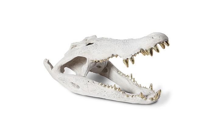 Crocodile Skull, Roman Stone, Gold Leaf