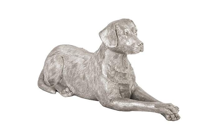 Labrador, Laying, Silver Leaf