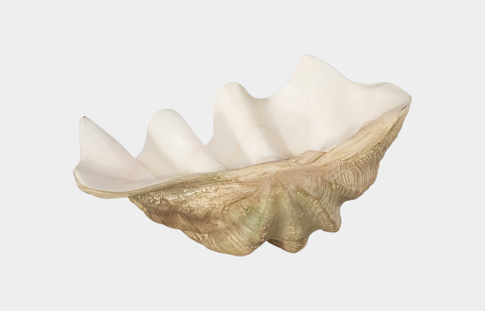 Cast Clam Shell Bowl, Faux Finish, LG